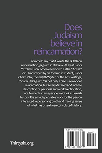 Arizal On Reincarnation & Personal Rectification